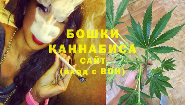 сатива Наволоки
